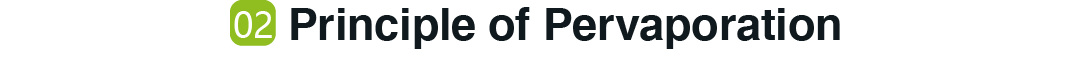 1645680045445554.png